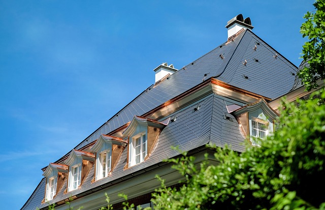 Eco-Friendly Roof Repair Options for Sustainable Houston Homes