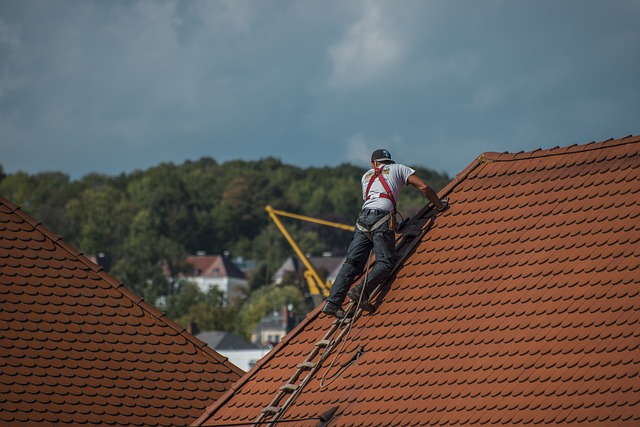 Houston, roof, roof repair