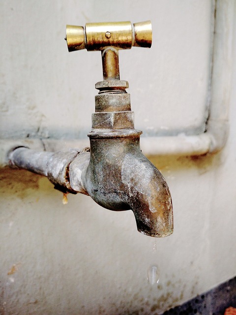 Fix Plumbing Woes Fast: Fort Collins Plumber’s Guide