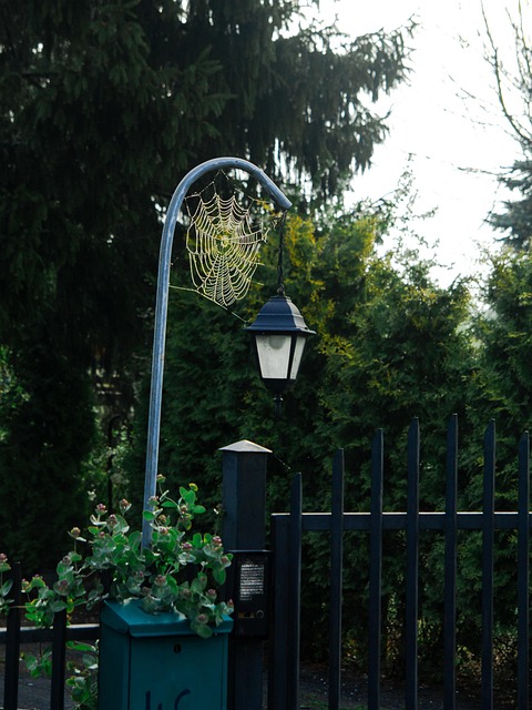 bumper-replacement-640x480-50382236.jpeg