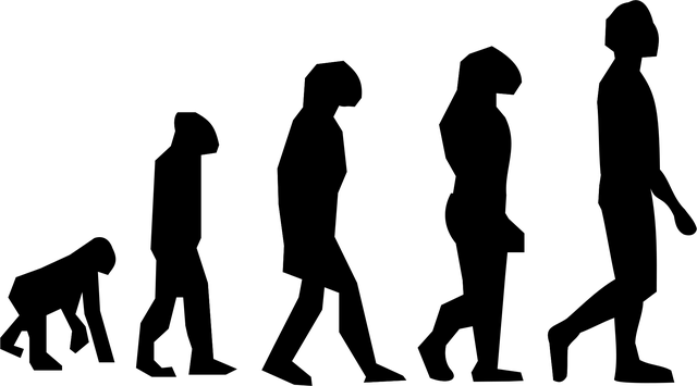 dent-removal-process-640x480-14840357.png