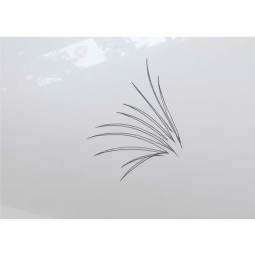 car scratch repair